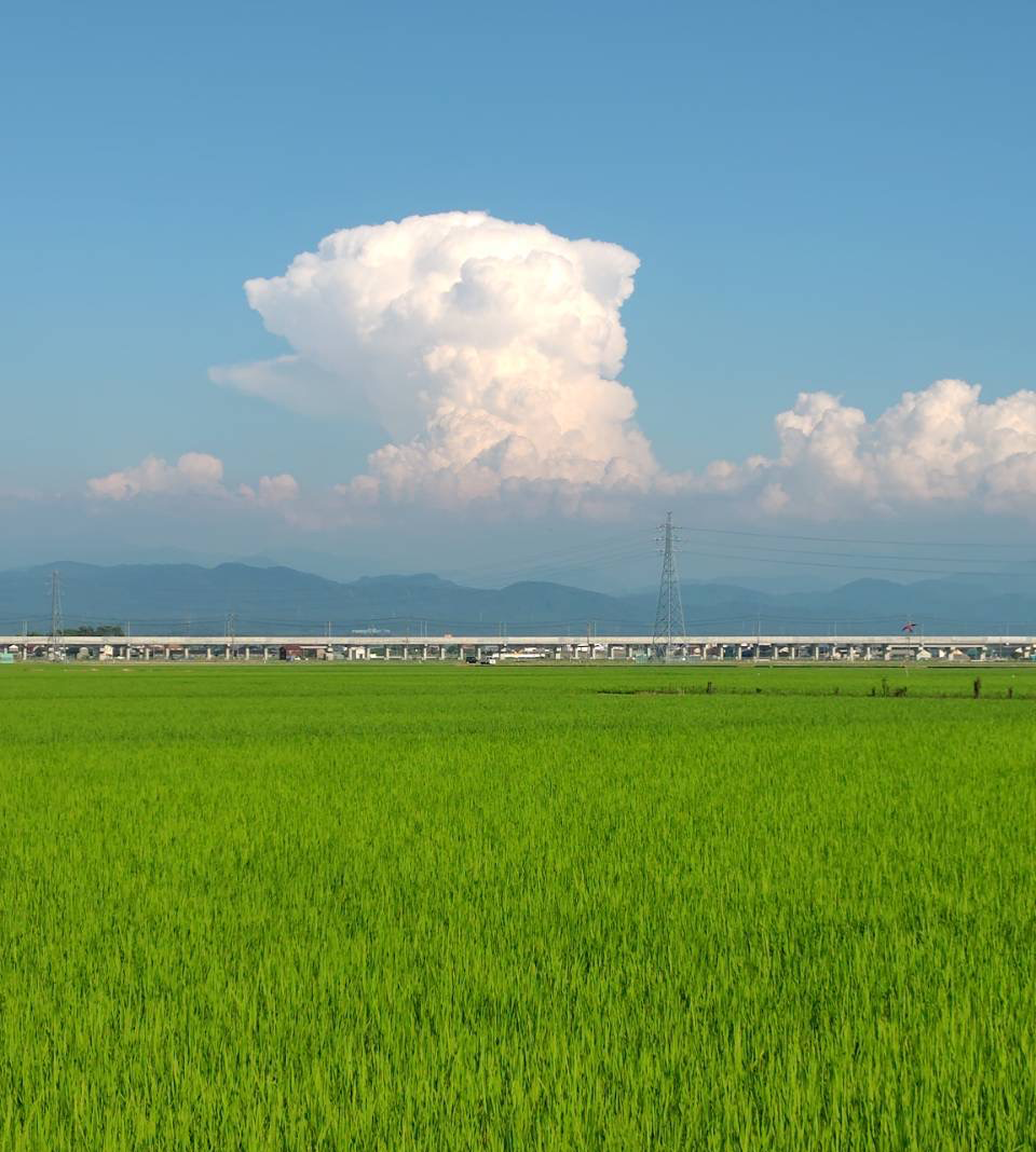 事務所からの風景